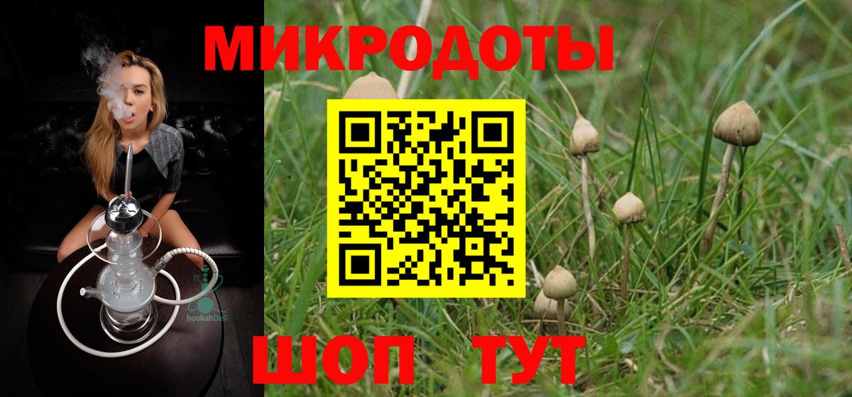 Псилоцибиновые грибы Psilocybe  Вход с VPN  Джанкой 