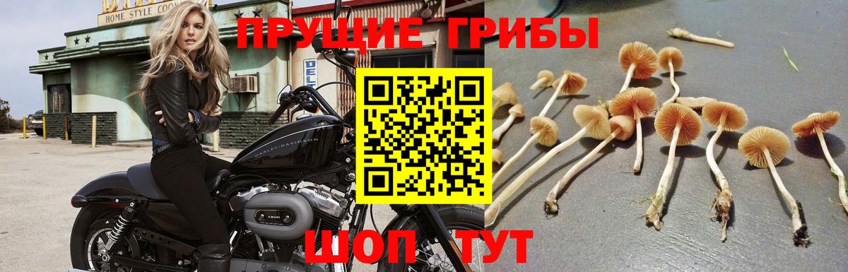 Галлюциногенные грибы прущие грибы Джанкой